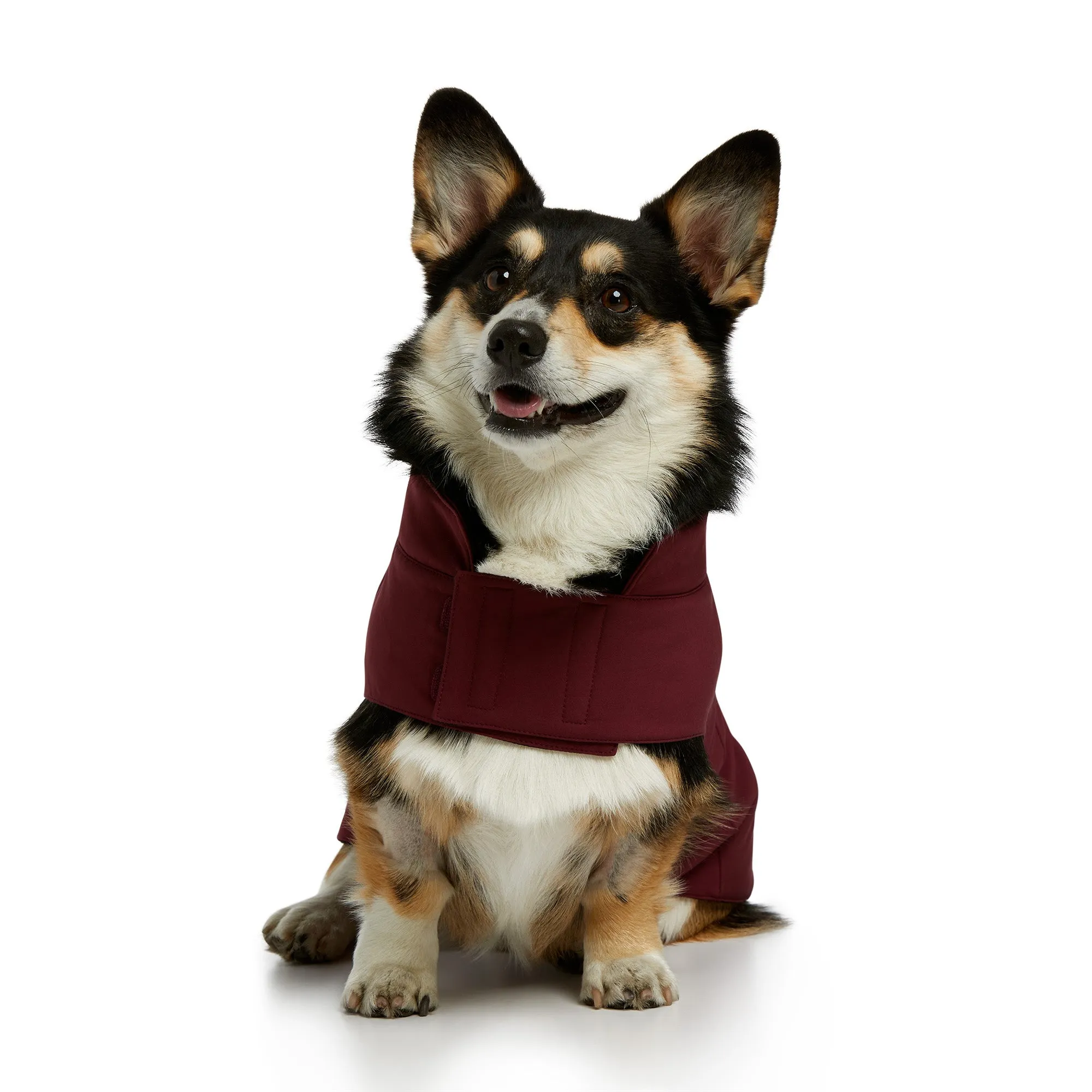 10038219 Ariat Team Softshell Dog Jacket Windsor Wine