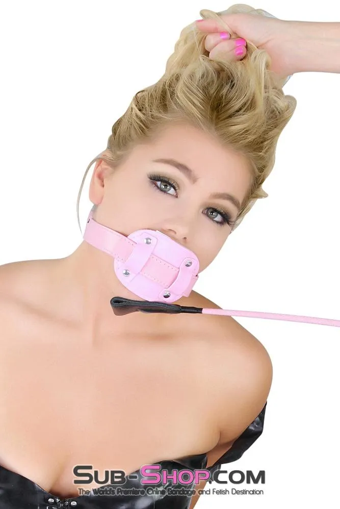 7046MQ      Locking Princess Pink Blowjob Trainer 2" Penis Gag