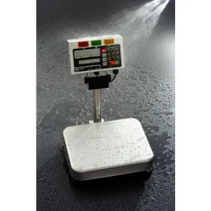 A&D FS-6KiN Checkweighing Scale (NTEP# 07-104)