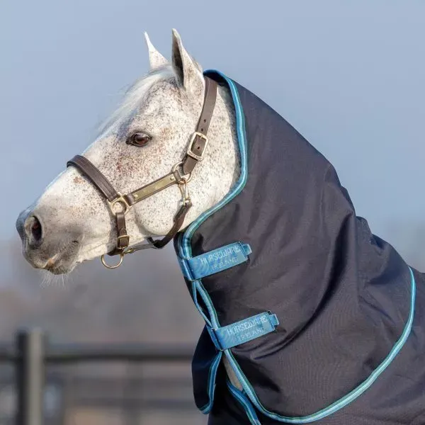 Amigo® Bravo 12 Original Turnout Hood - 150G