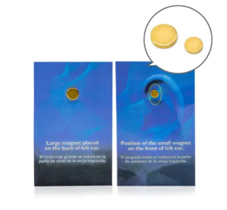 Anti-Smoke Magnetic Patch
