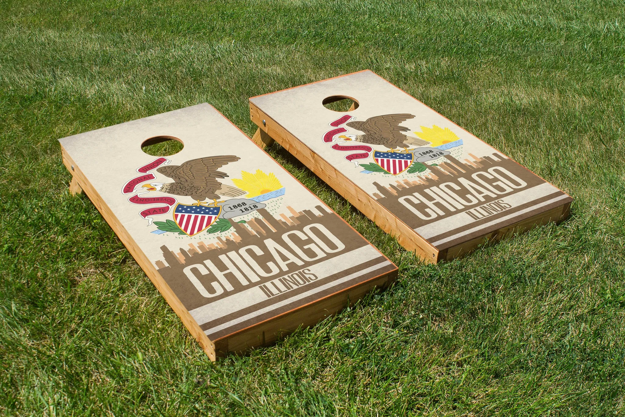 Chicago State Flag Skyline