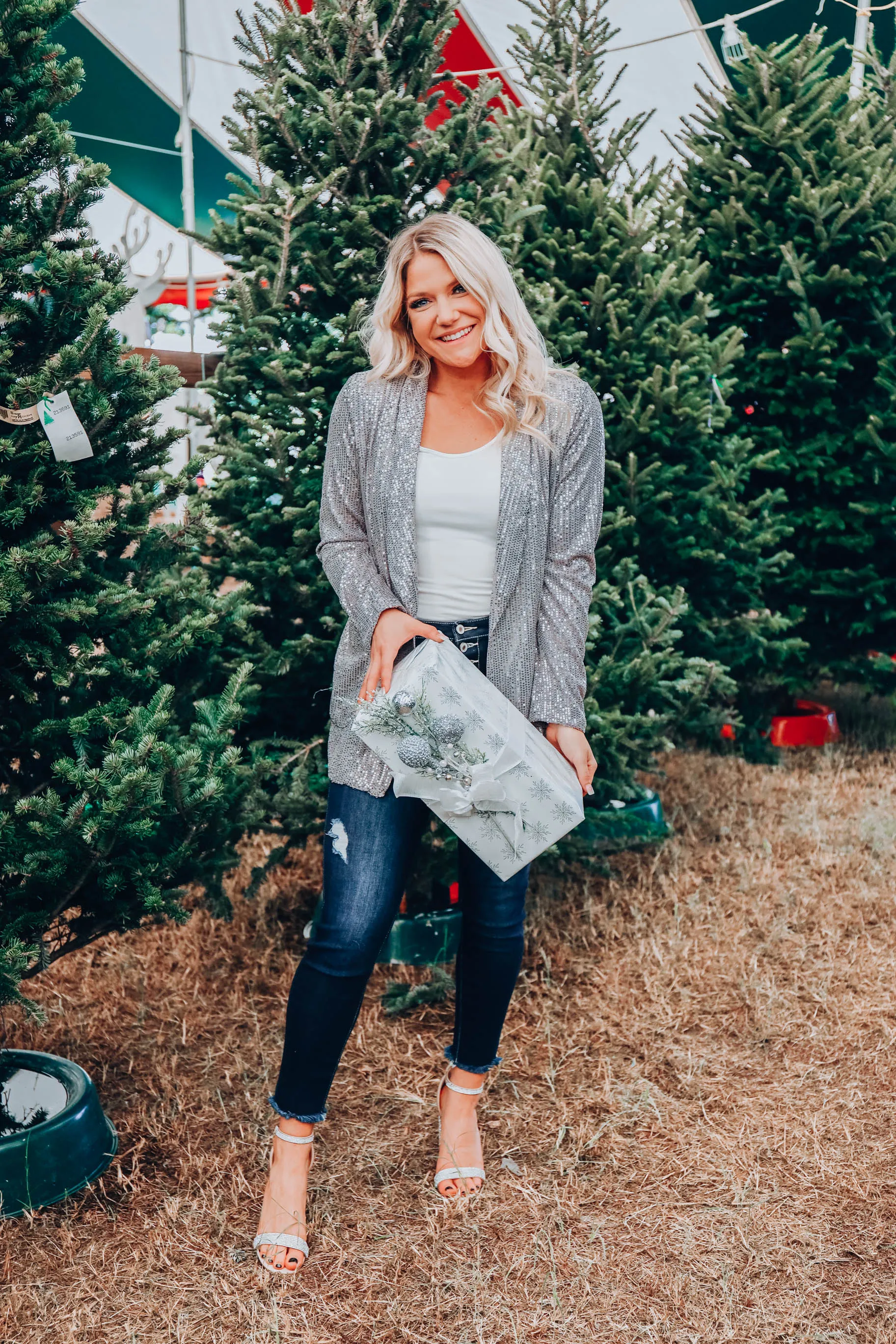 Draped In Sequins Blazer - Silver