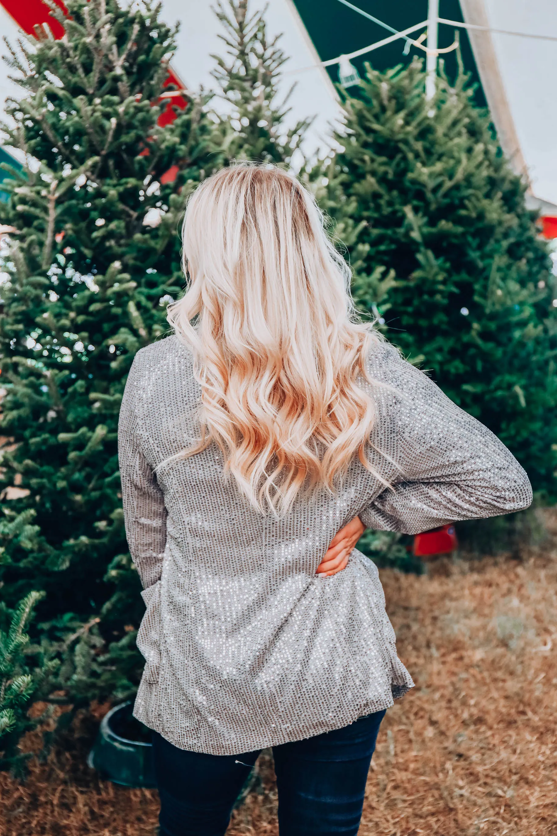 Draped In Sequins Blazer - Silver