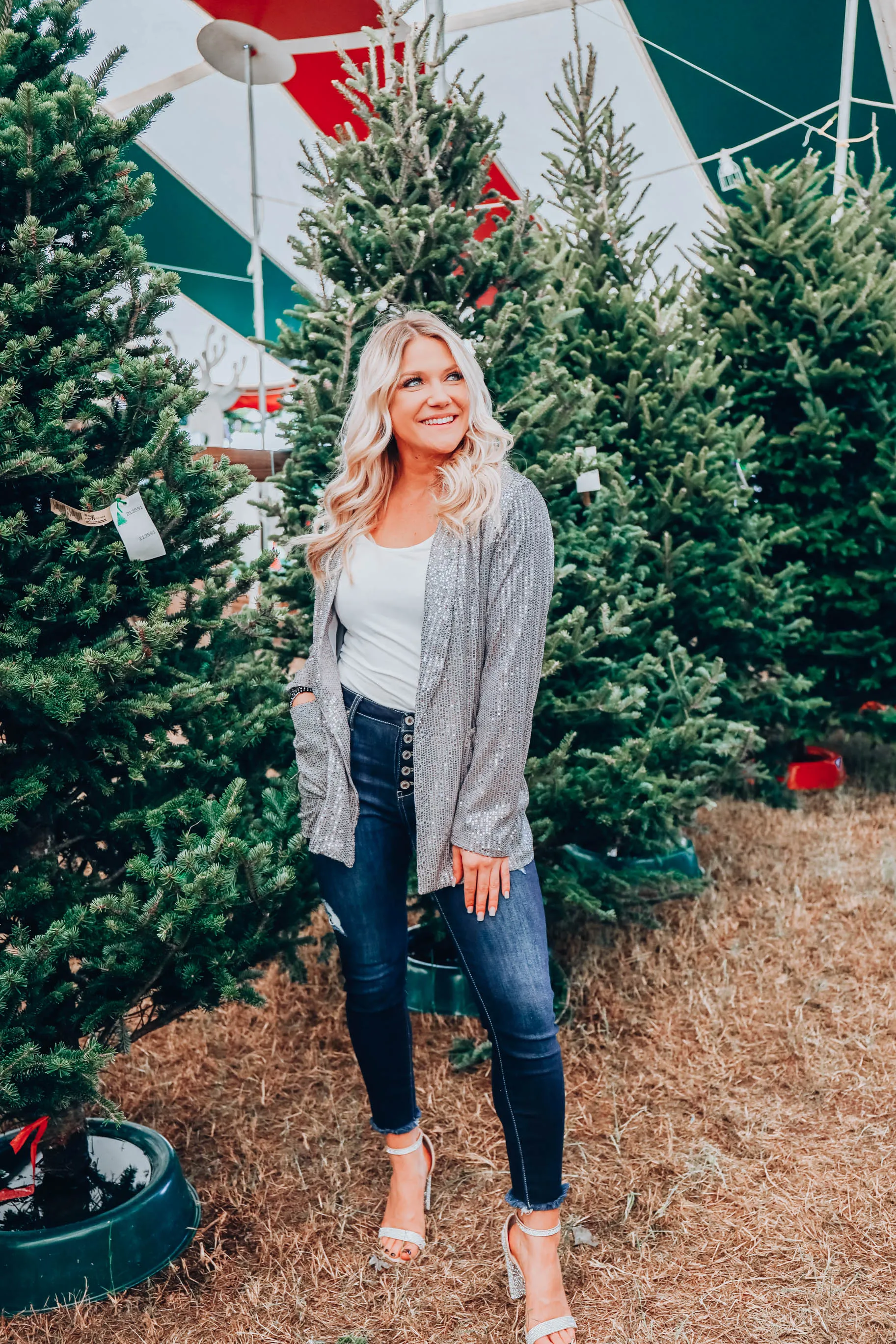 Draped In Sequins Blazer - Silver