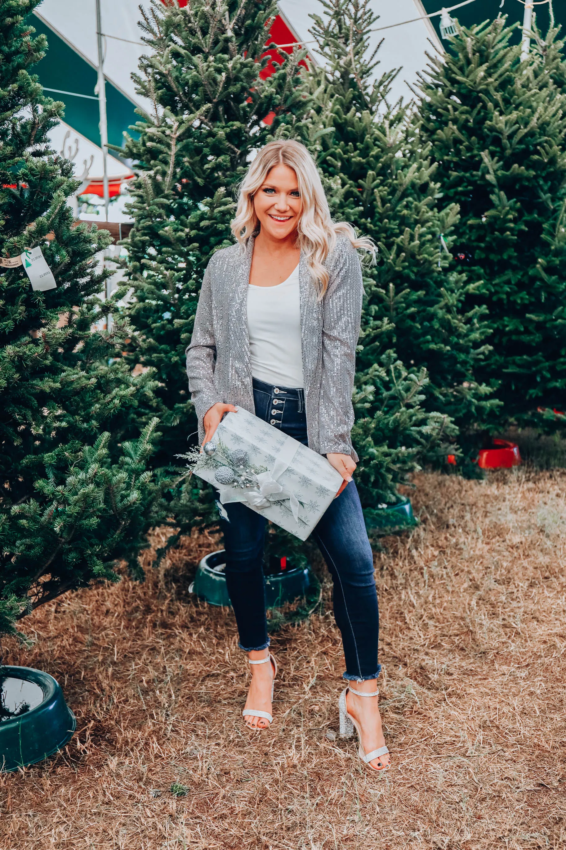 Draped In Sequins Blazer - Silver