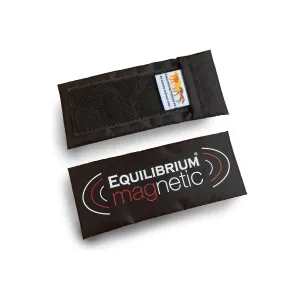 Equilibrium Spare Magnets - 4 x Short