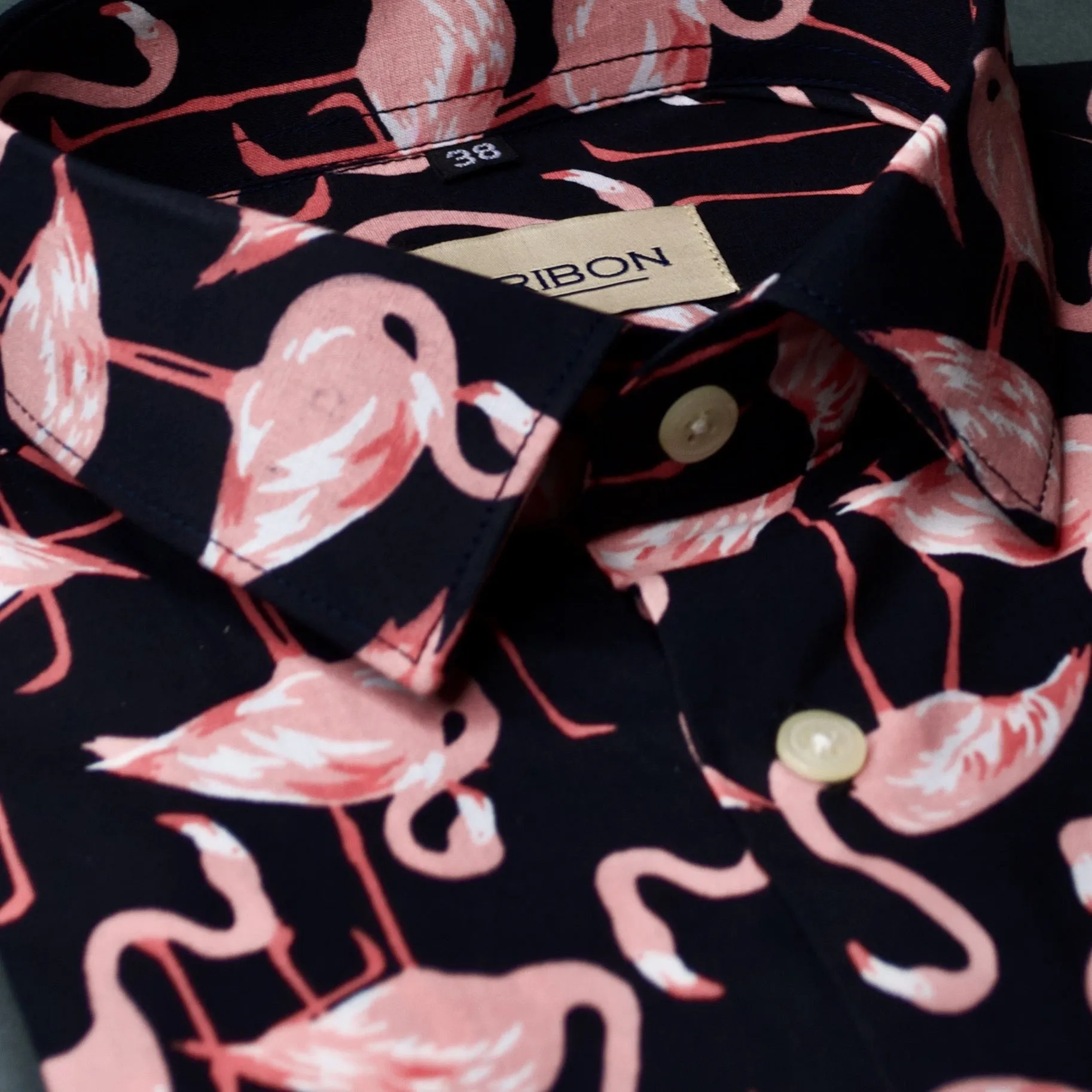Flamboyance of Flamingos