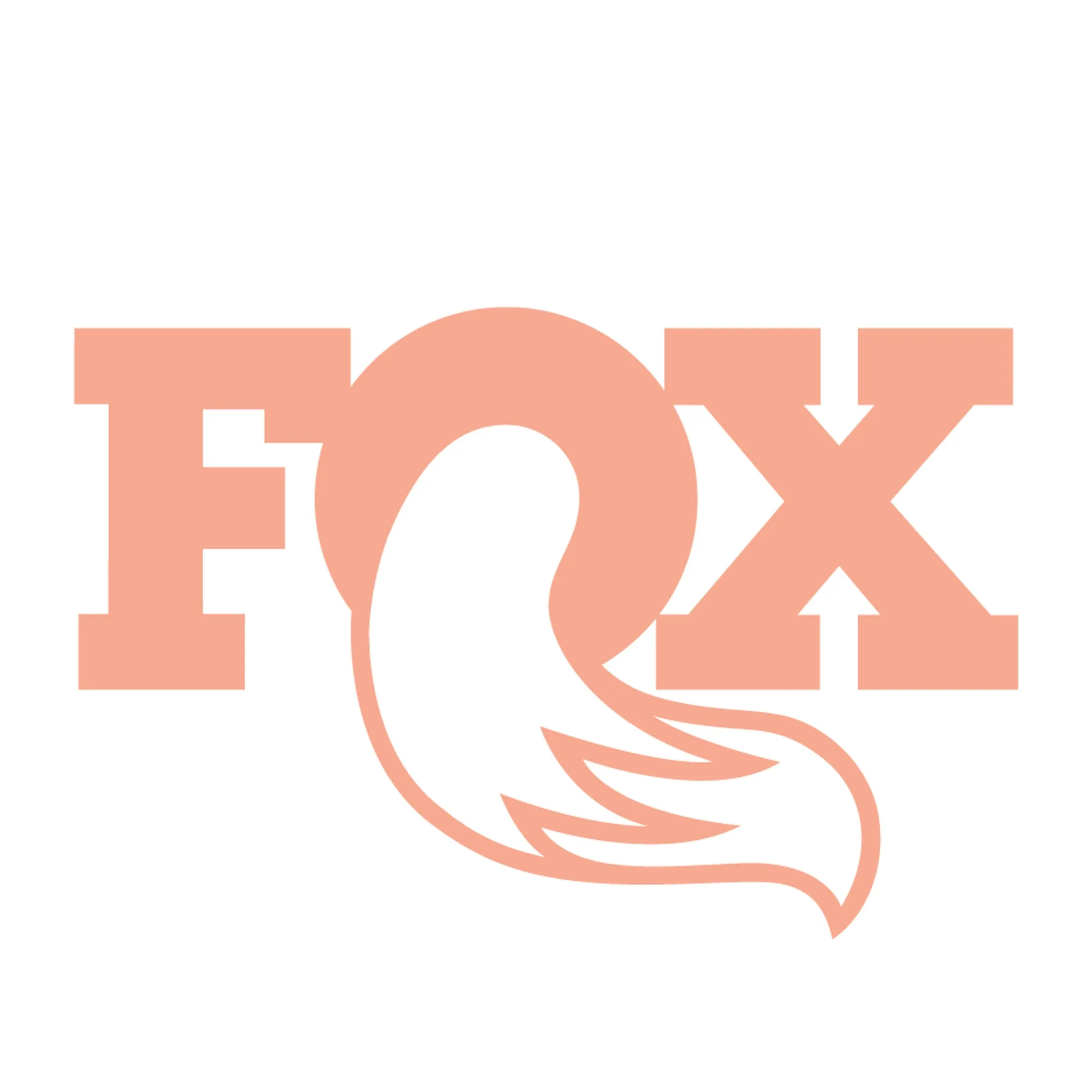 Fox rebound protective cap