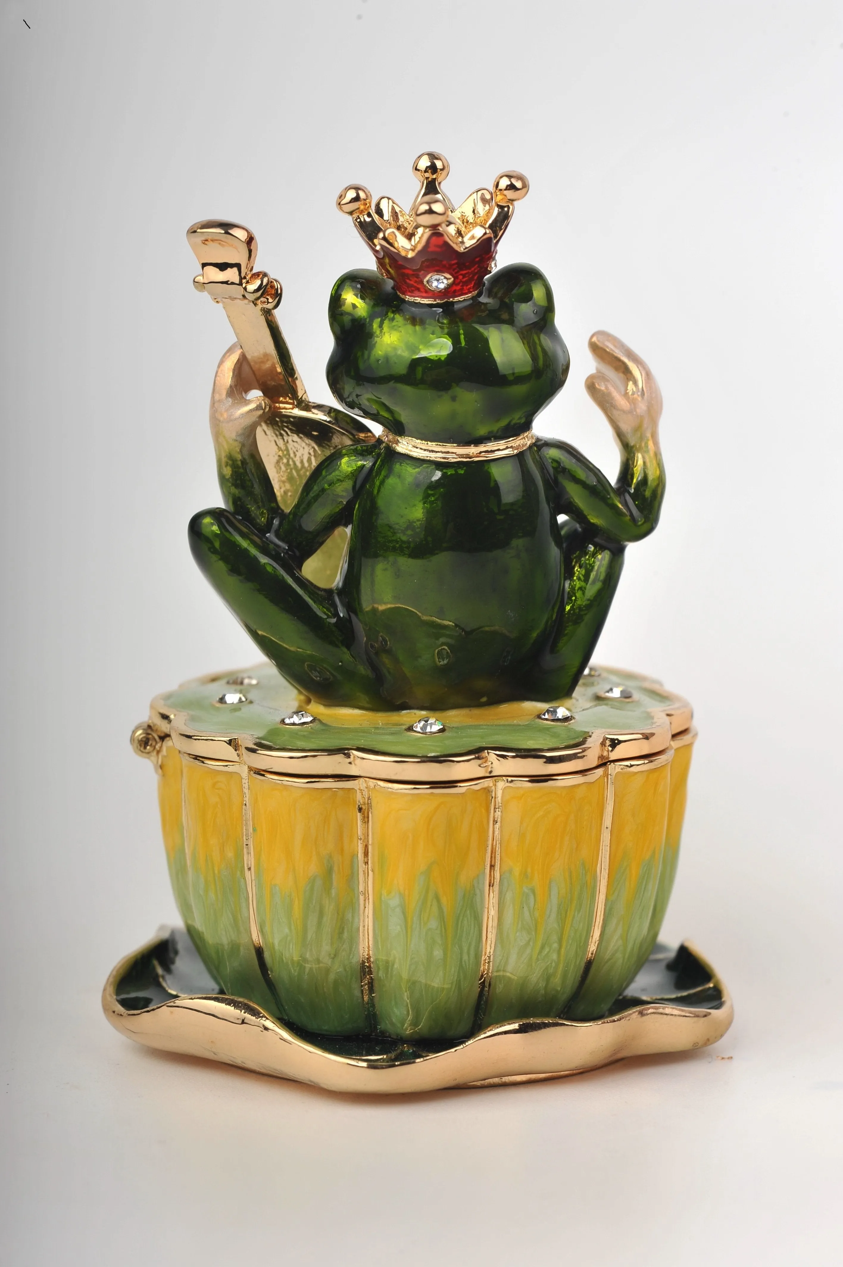 Frog Playing a Guitar