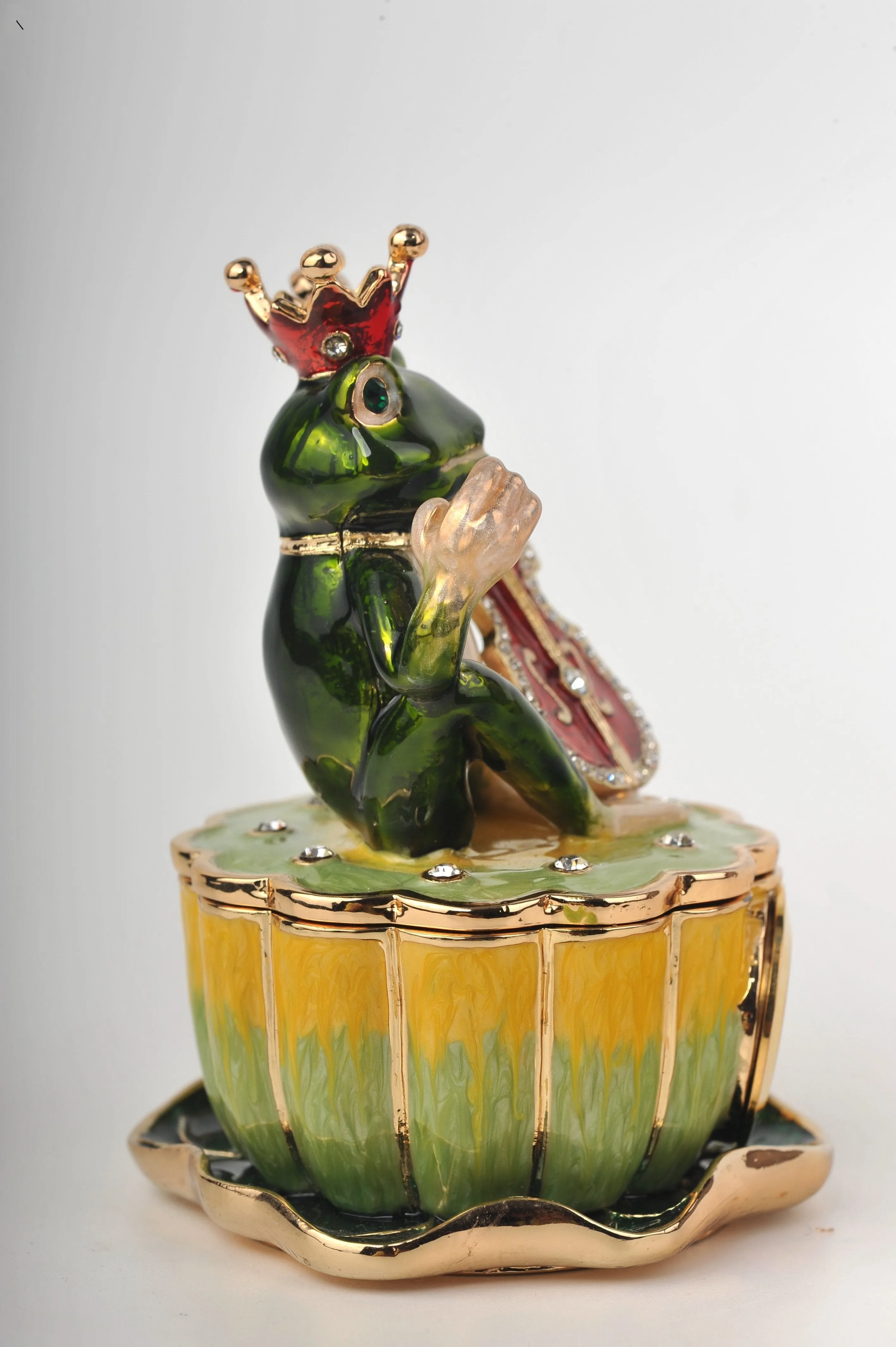 Frog Playing a Guitar