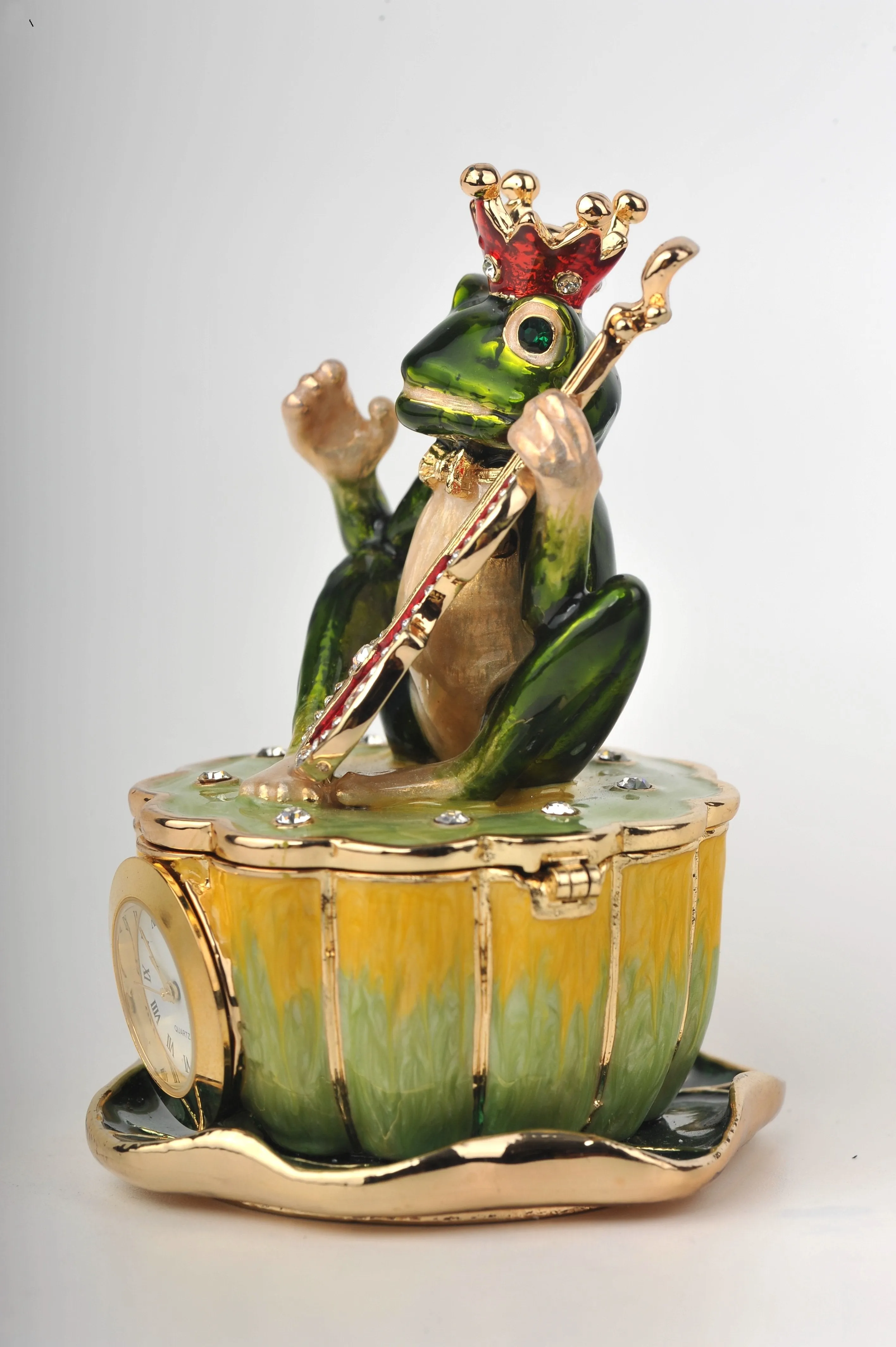 Frog Playing a Guitar