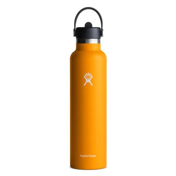 Hydro Flask Bottle (21 oz, flex straw cap)