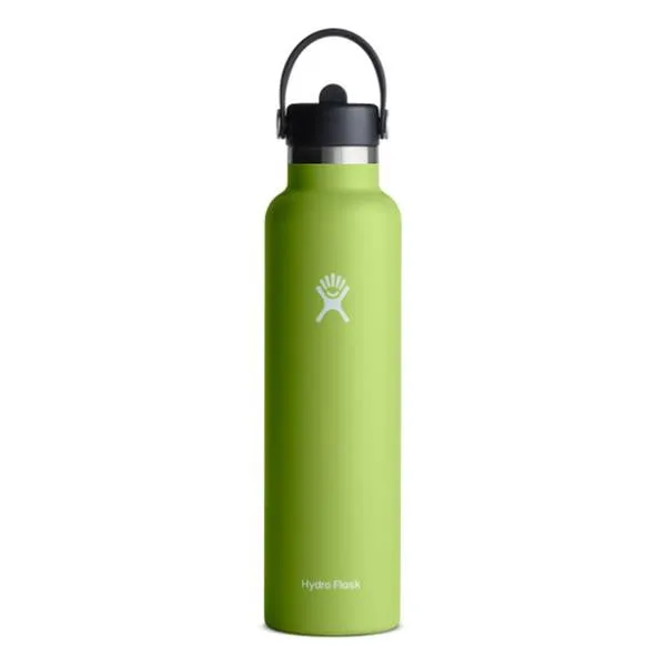 Hydro Flask Bottle (21 oz, flex straw cap)