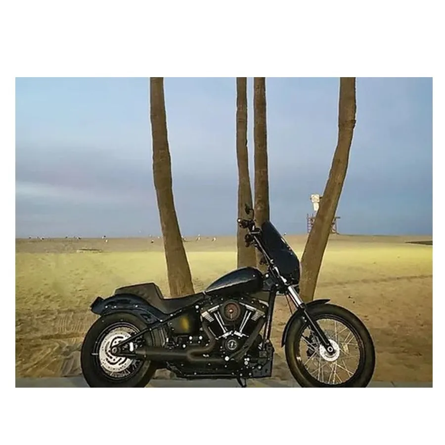 Invisivin Magnetic Vin Sticker Cover - 2018  Softail**