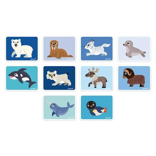 Janod Magneti'book Polar Animals