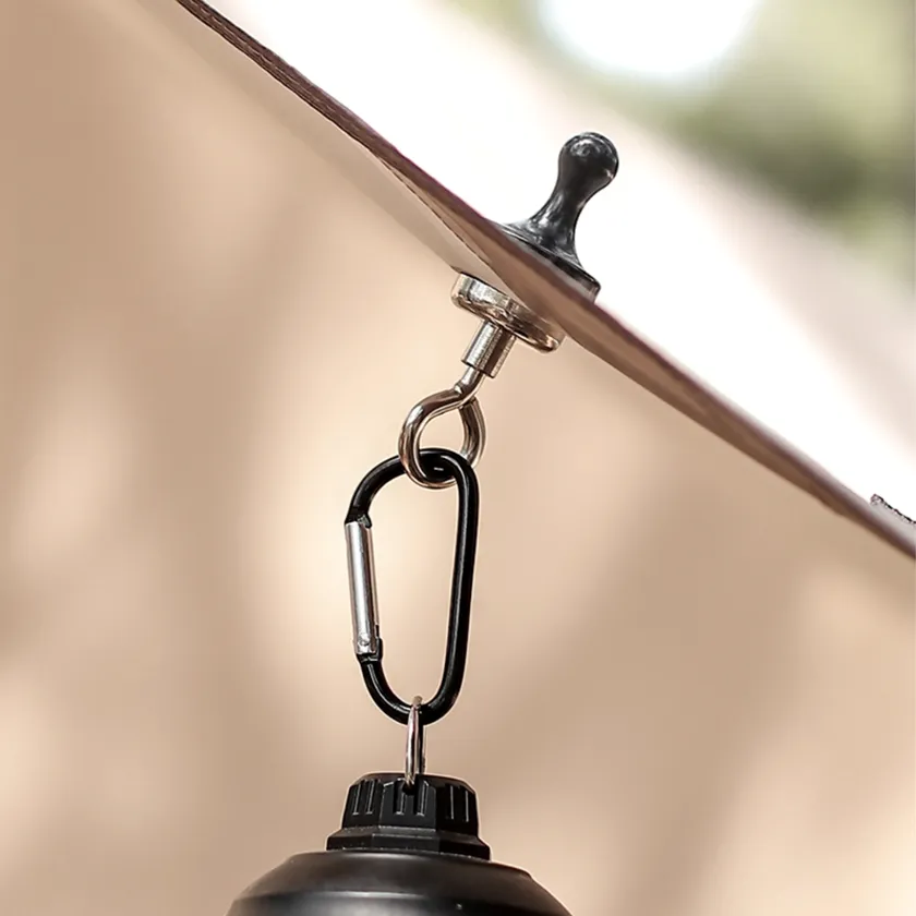 Magnetic Hook with Carabiner