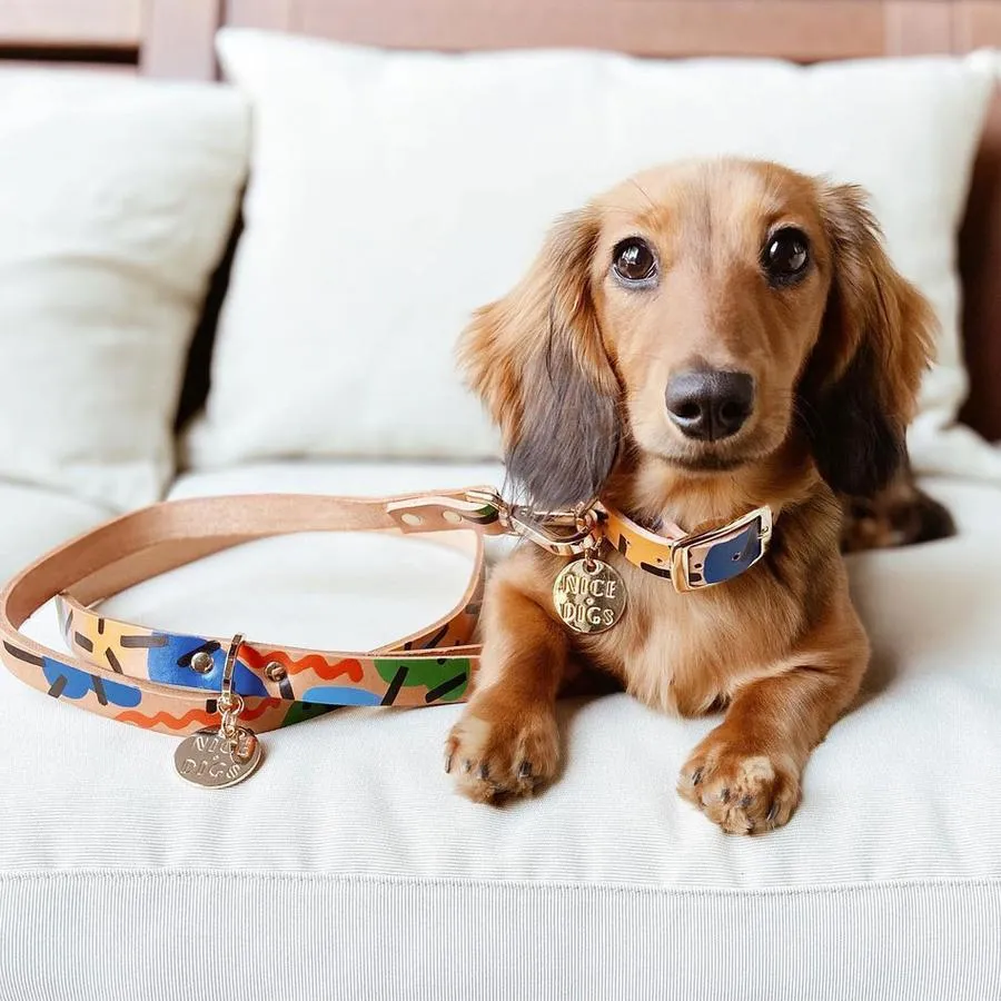 Nice Digs Leather Leash | Block Party