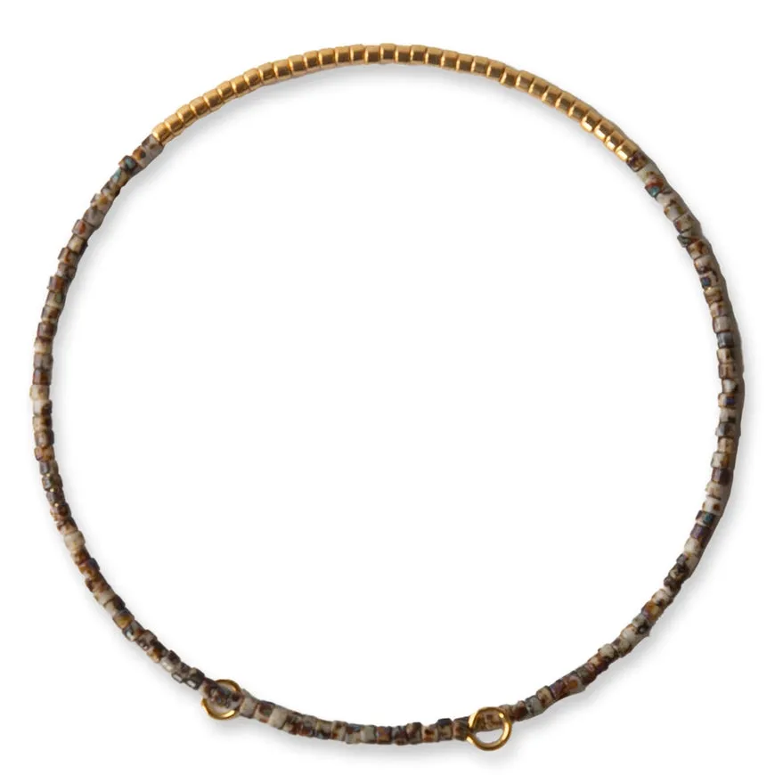 Norah Bangle - Tortoise