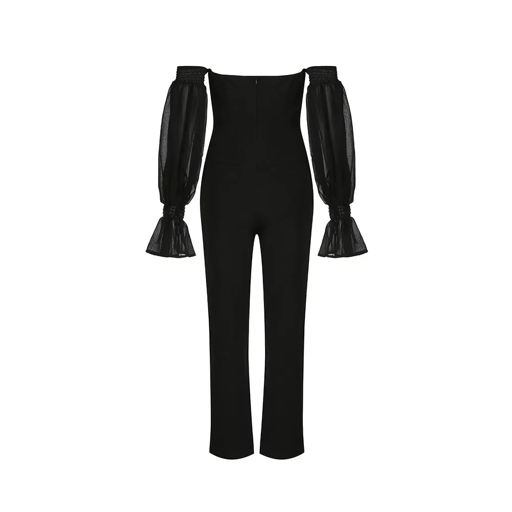 Off Shoulder Long Sleeve Mesh Bodycon Jumpsuit
