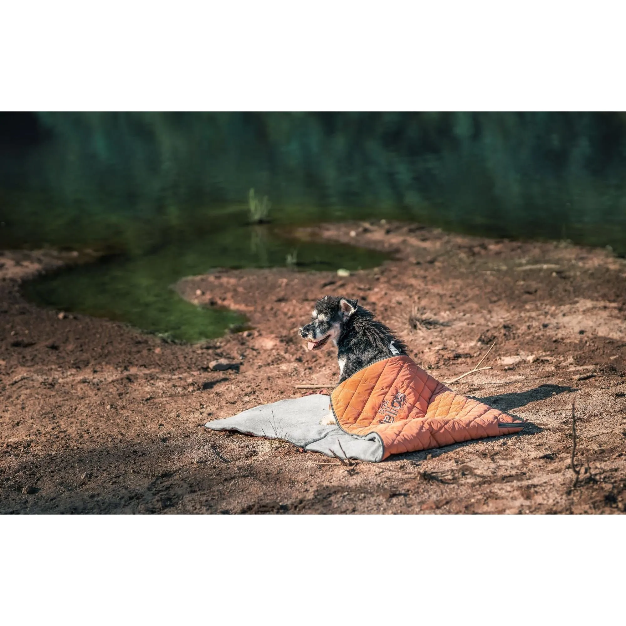 Outdoor Dog Mat Explorer