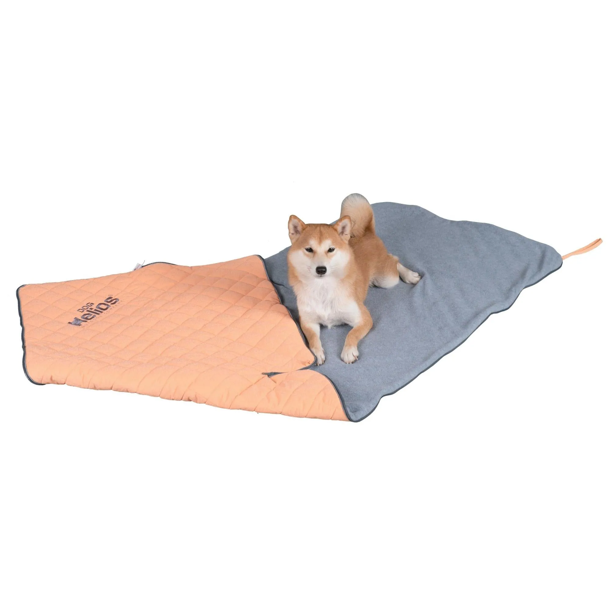 Outdoor Dog Mat Explorer
