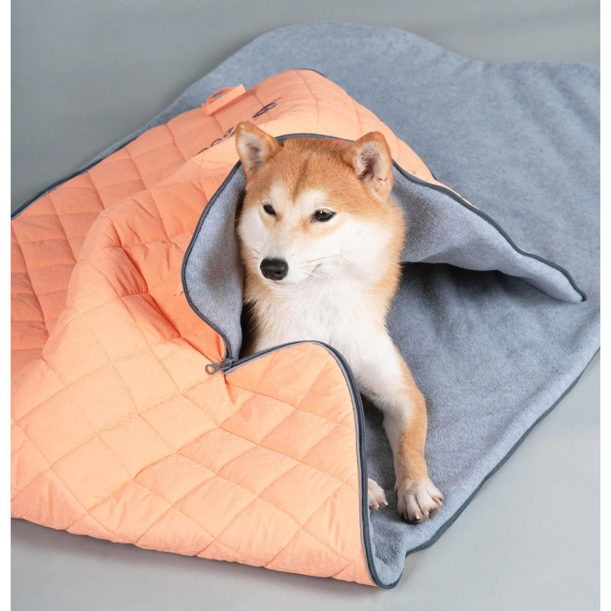 Outdoor Dog Mat Explorer