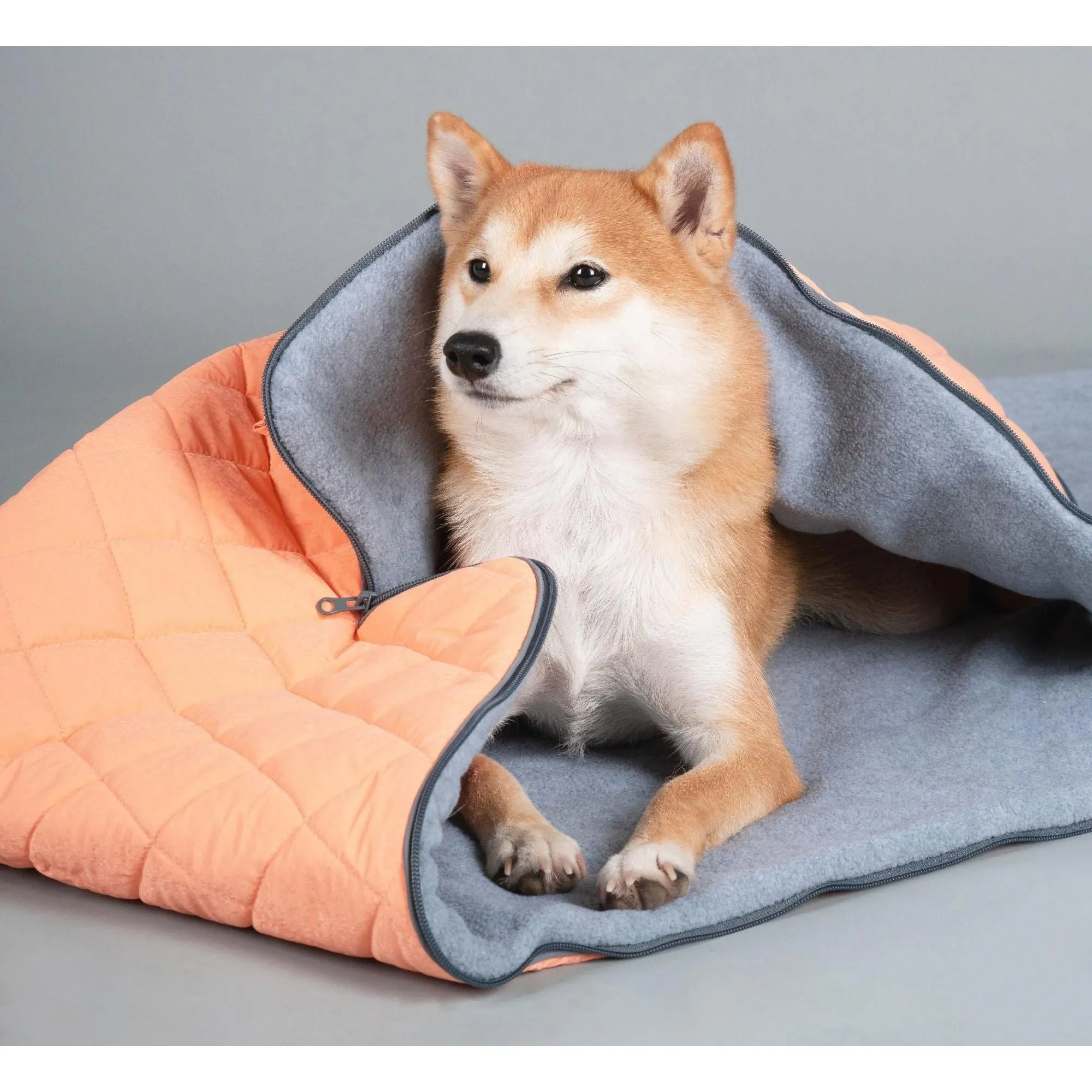 Outdoor Dog Mat Explorer