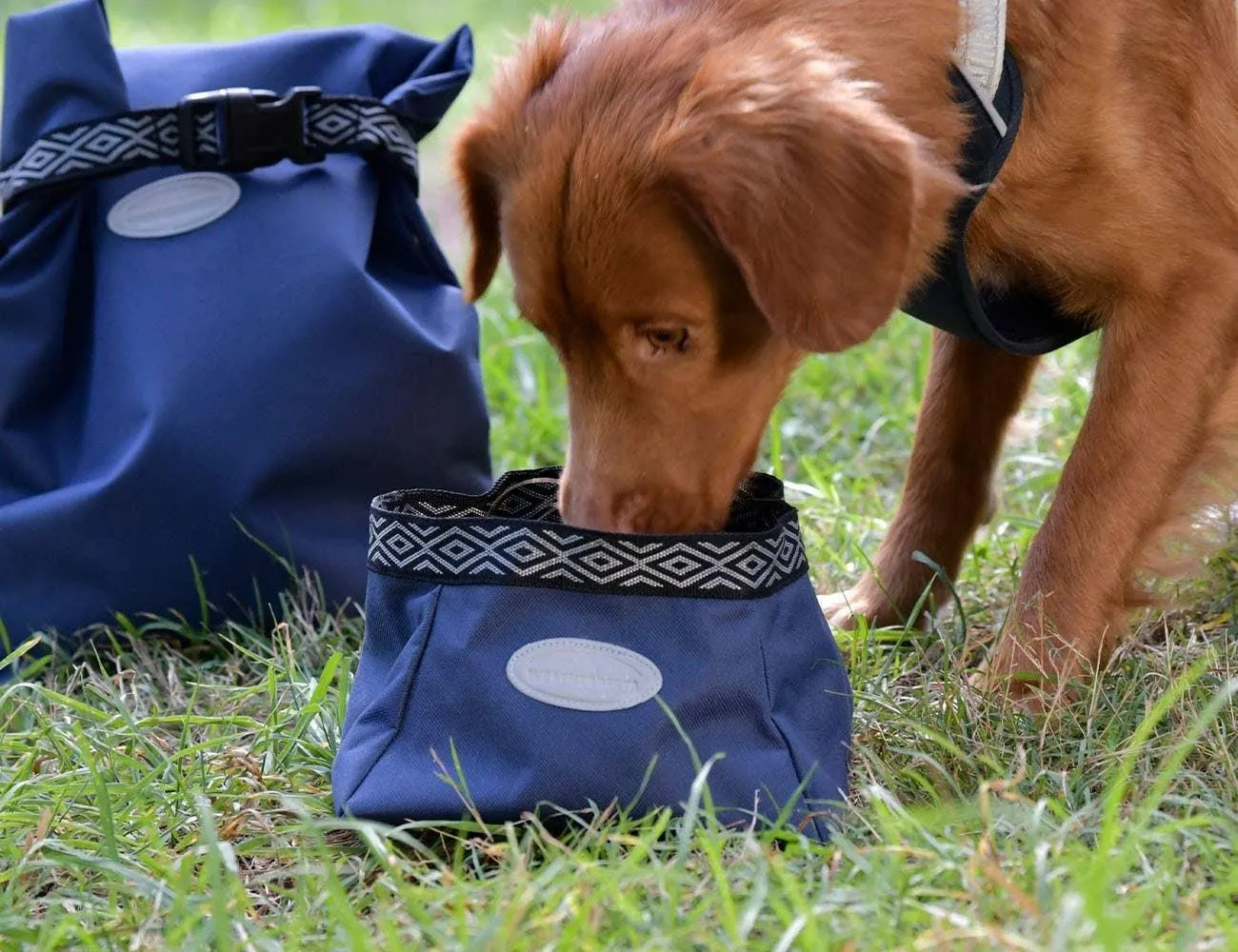 Weatherbeeta Explorer Dog Water/Feed Bowl