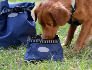 Weatherbeeta Explorer Dog Water/Feed Bowl